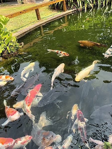 龍潭壹等賞庭園餐廳