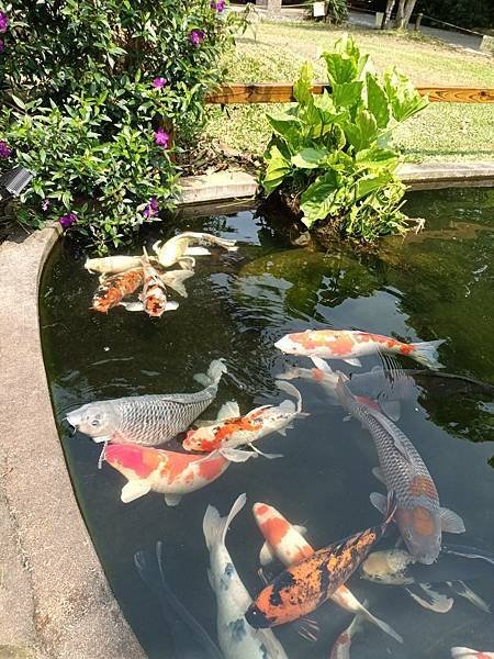 龍潭壹等賞庭園餐廳