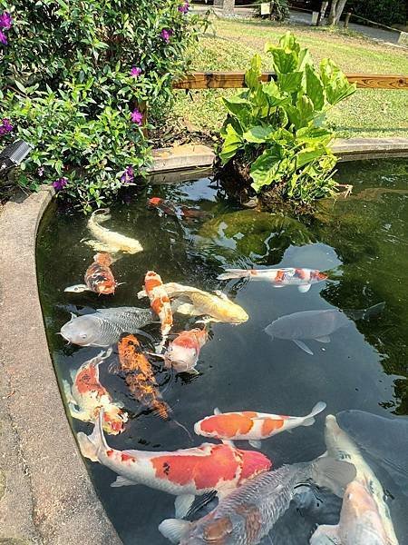 龍潭壹等賞庭園餐廳
