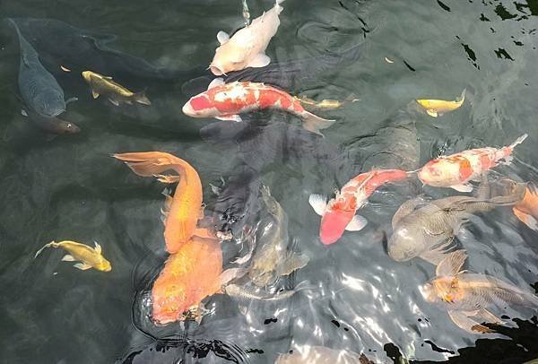 龍潭壹等賞