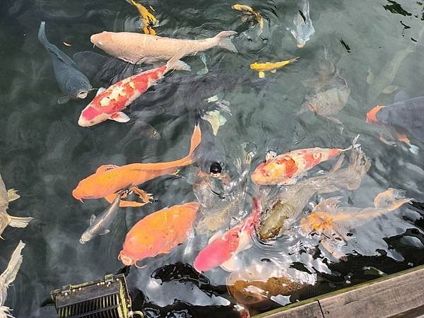 龍潭壹等賞