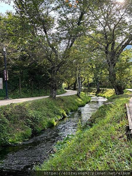第六天 - 拍好多照的一天 【大池公園、富士山世界遺產、淺間