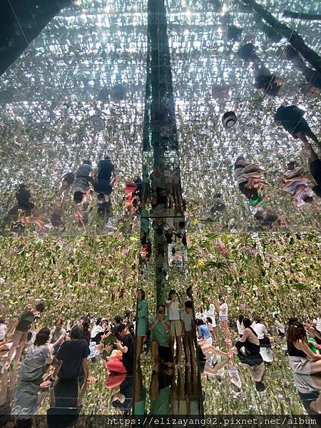 第七天 - 下雨了，還好在室內【國立科學博物館、teamLa