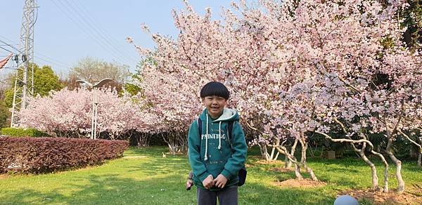 20190401_162104.jpg