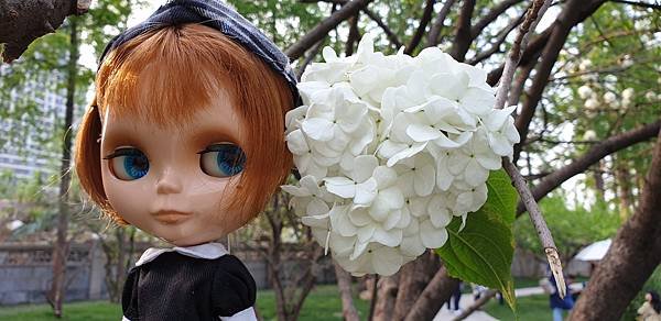 20190413_160803.jpg