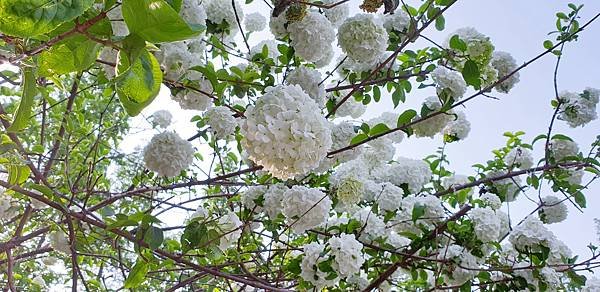 20190413_202606.jpg
