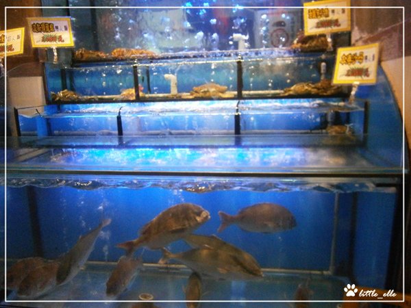 海角日式刷刷鍋~活魚&amp;螃蟹.jpg