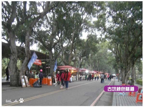 古坑綠色隧道