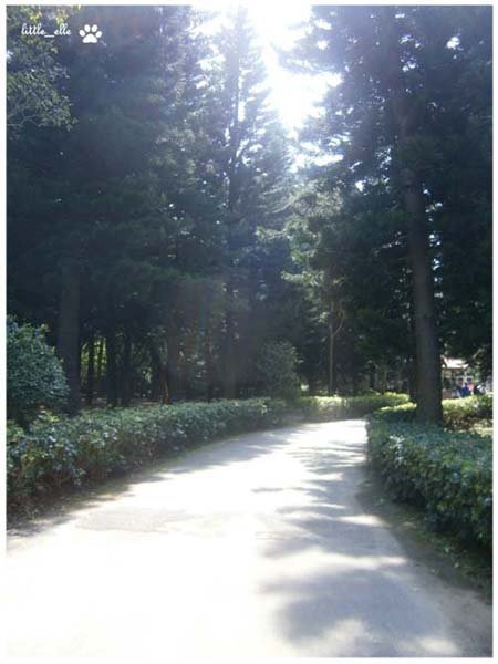 香格里拉樂園.2.jpg