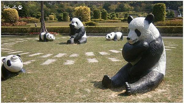 香格里拉樂園-貓熊區.jpg