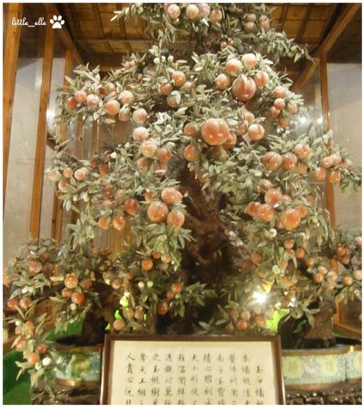 香格里拉樂園-蟠桃.jpg