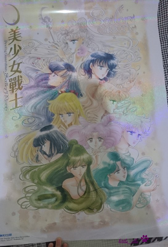 美少女戰士完全版-海報2.jpg