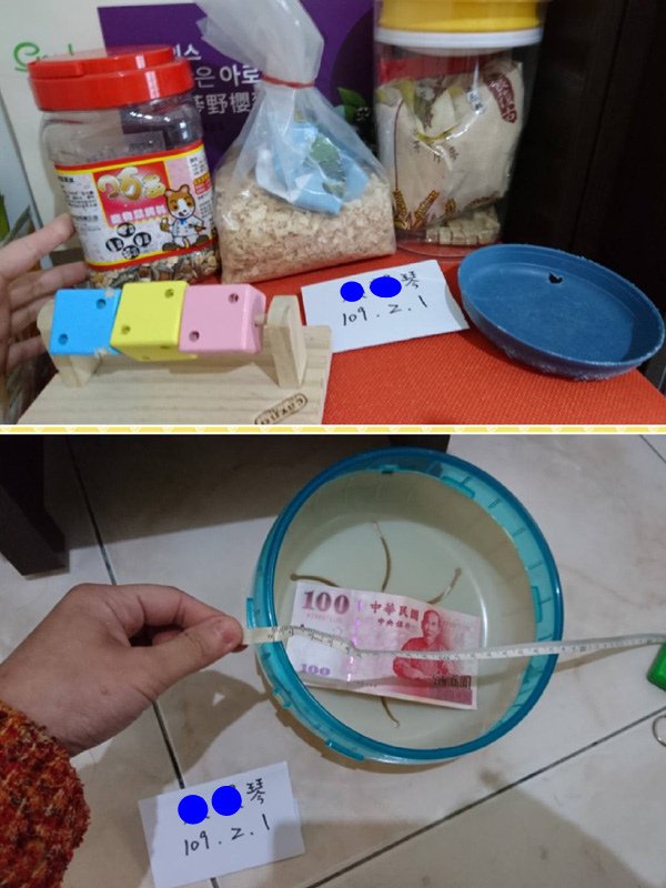 飼養用品.jpg - 黃金鼠-小乖&amp;嘟嘟