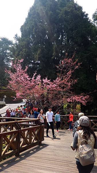 P_20160403_105815.jpg