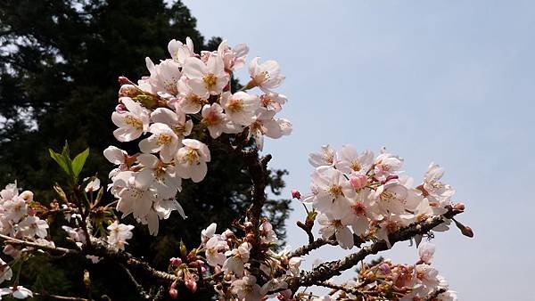 P_20160403_105910.jpg