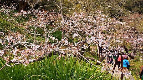 P_20160403_111506.jpg