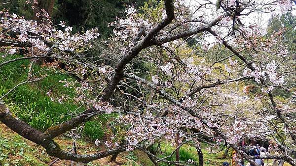 P_20160403_111626.jpg