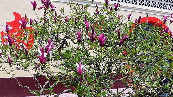 P_20160403_114501.jpg