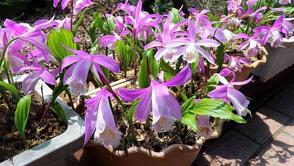 P_20160403_114942.jpg