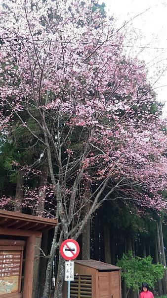 P_20160403_170329.jpg