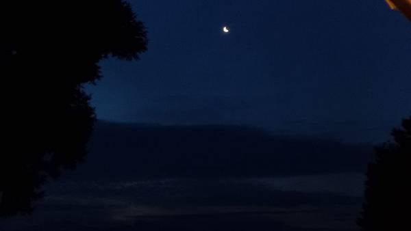 P_20160404_052104.jpg