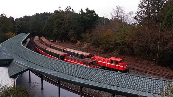 P_20160404_061252.jpg