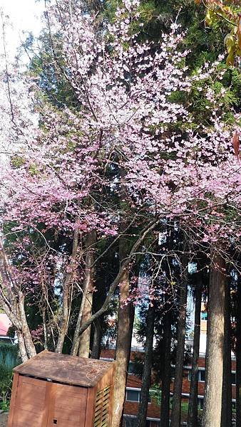 P_20160404_081605.jpg