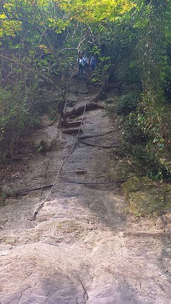 P_20161031_130030.jpg