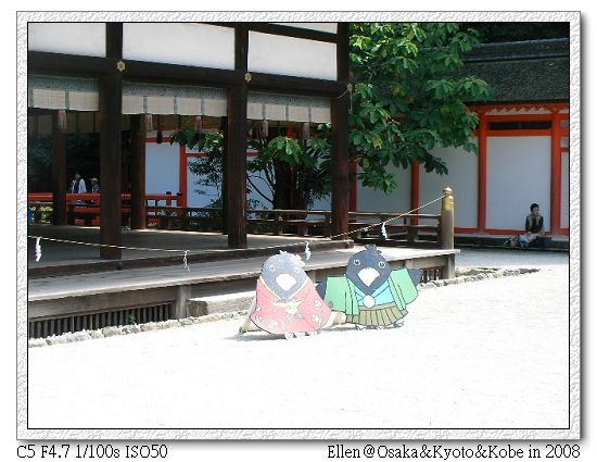 SANY5740.jpg