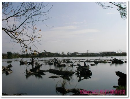 SANY7863.JPG