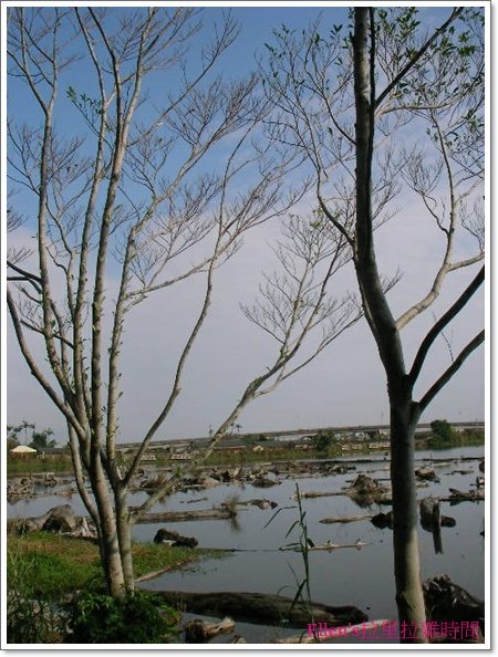 SANY7880.JPG