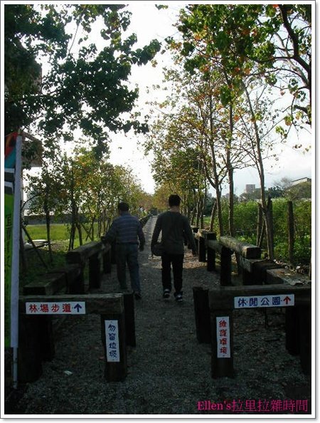 SANY7857.JPG