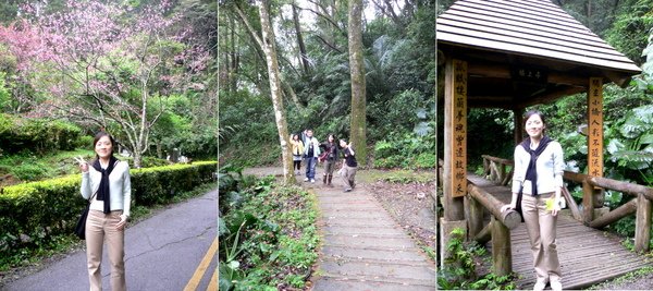 2-宜蘭棲蘭森林國家公園.jpg