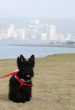 DSC_1327修改.jpg