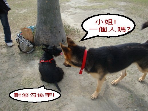 098_調整大小.JPG