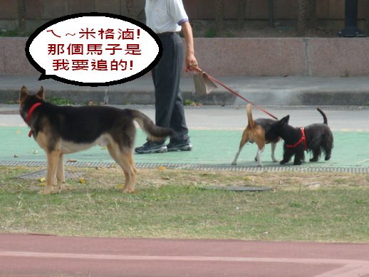 101_調整大小.JPG