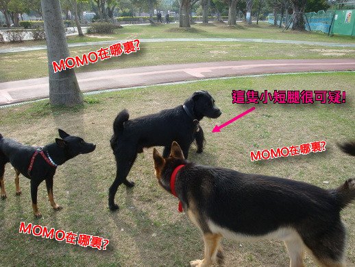 126_調整大小.JPG