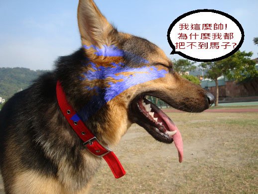 156_調整大小.JPG