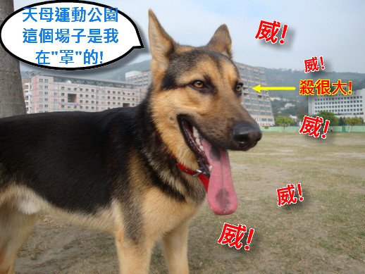 威.JPG