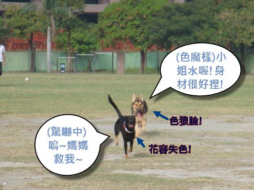 追UDI.JPG