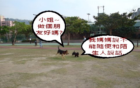 做朋友.JPG