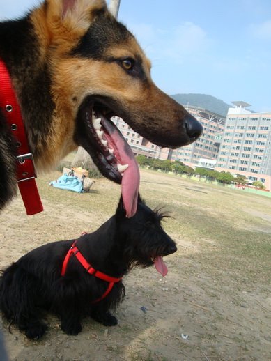 這張很清楚XD.JPG