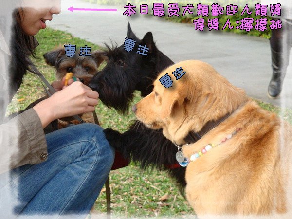 185_調整大小.jpg