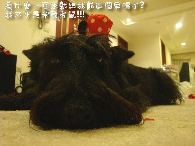 DSC09483_調整大小.JPG