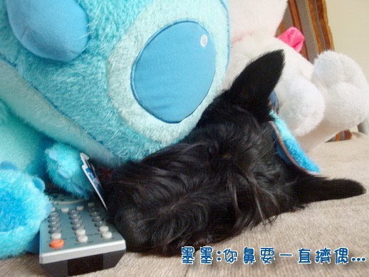 DSC09713_調整大小.jpg