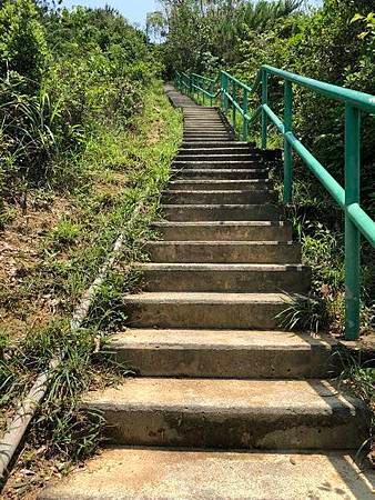 tn_IMG_5397.JPG