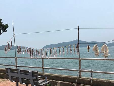 tn_IMG_5439.JPG