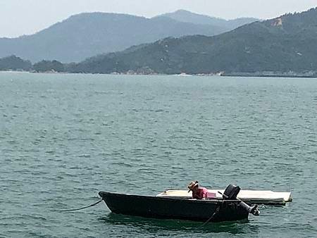tn_IMG_5455.JPG