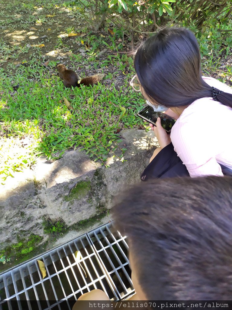 IMG_20201001_121255.JPG