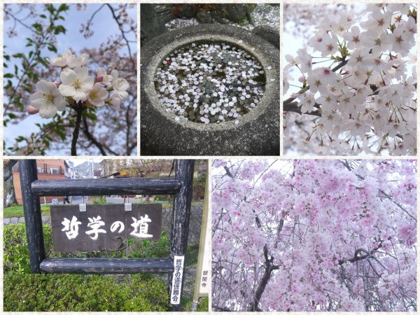 關西旅遊＠京都-哲學之道、銀閣寺.jpg